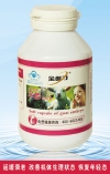 羊胎软胶囊
