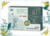 痛可贴 B型