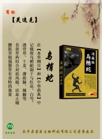 乌梢蛇消痛贴