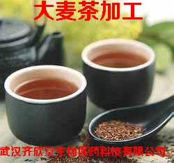 大麦茶  适合夏天喝  减肥 健胃