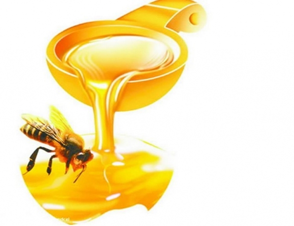 蜂胶 增强免疫 调血糖