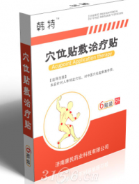 韩特穴位贴敷治疗贴六贴装