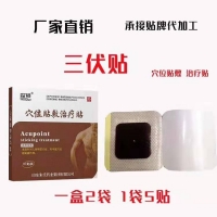 穴位贴敷治疗贴  三伏贴